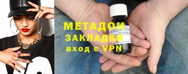 прущие грибы Медногорск