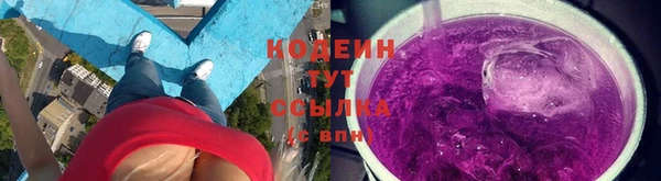 прущие грибы Медногорск