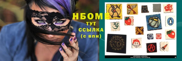 прущие грибы Медногорск
