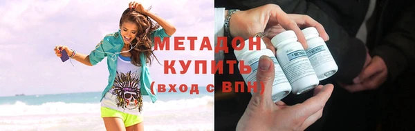 прущие грибы Медногорск