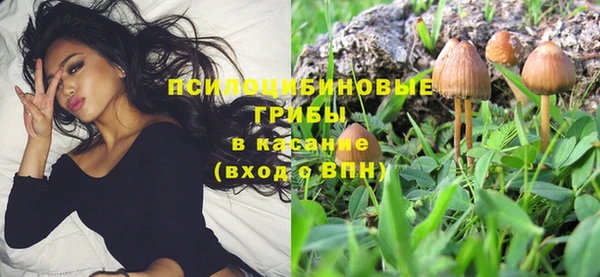 кокс Медвежьегорск