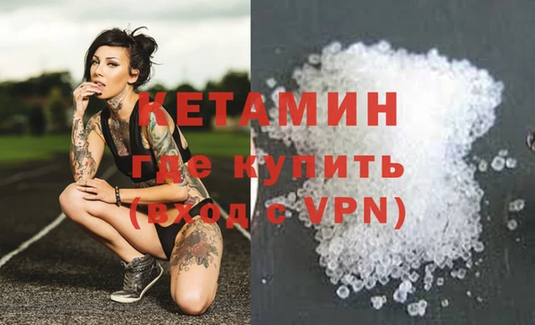 прущие грибы Медногорск